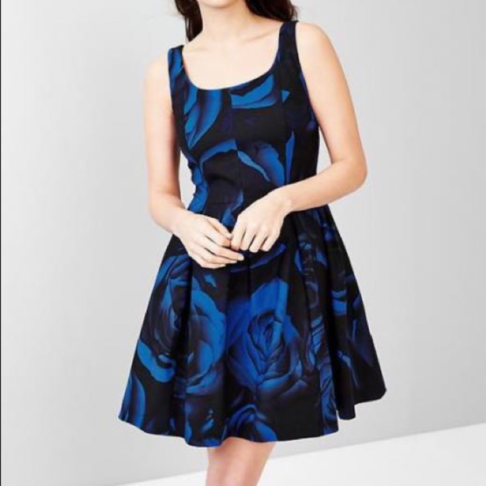 Fit and Flare Dress